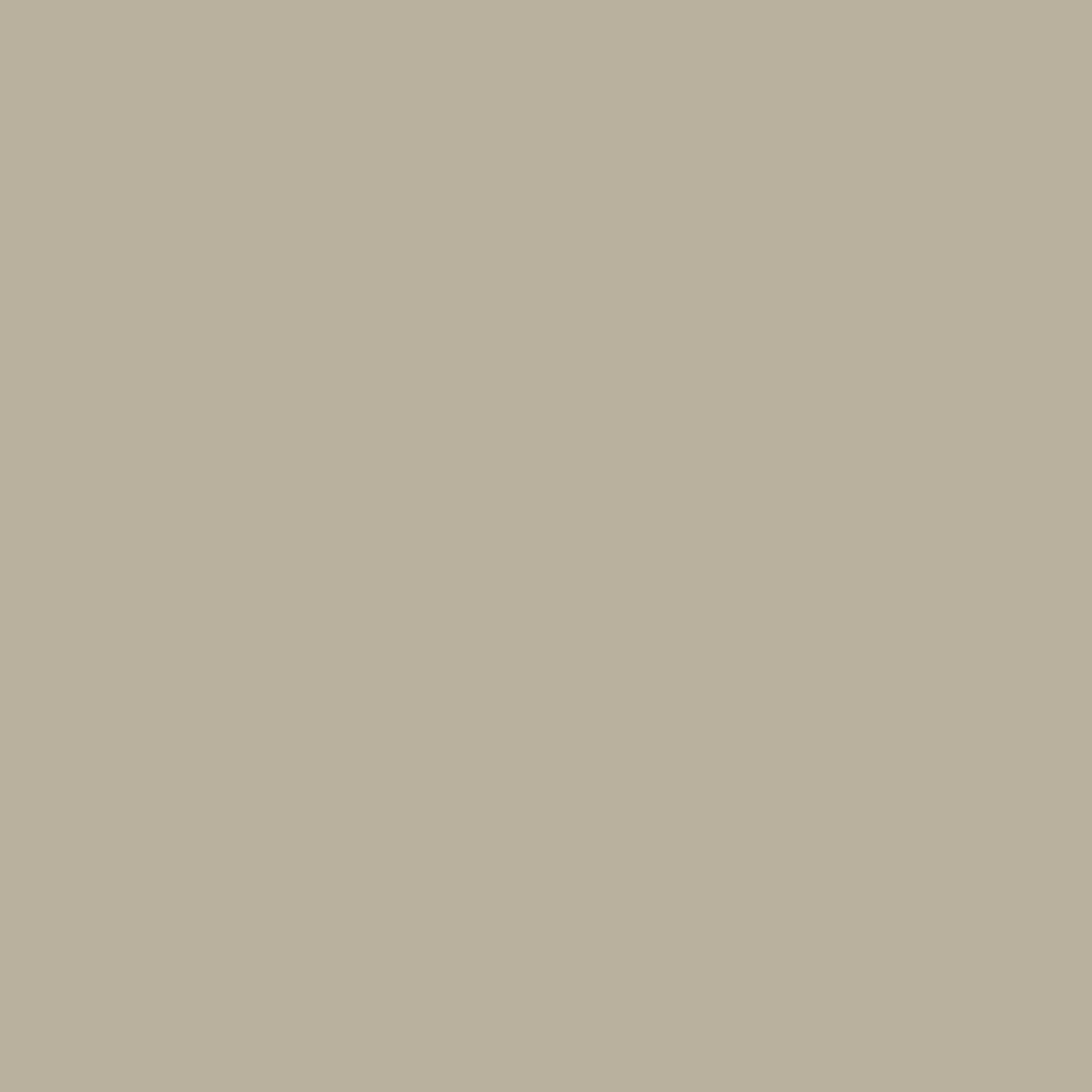 Nude Taupe - Royal Interior Paint - Image 2