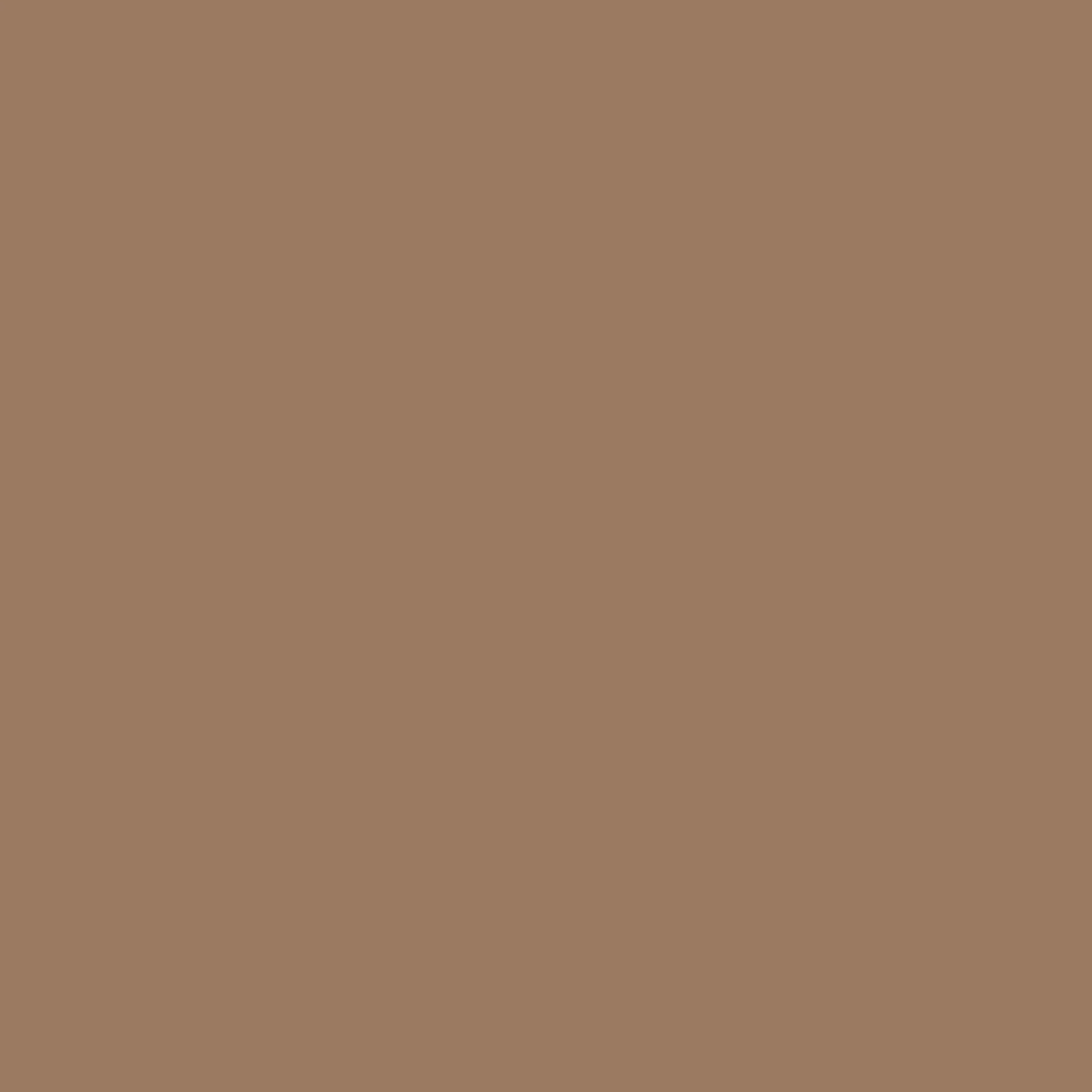 Soft Mocha - Royal Interior Paint - Image 2