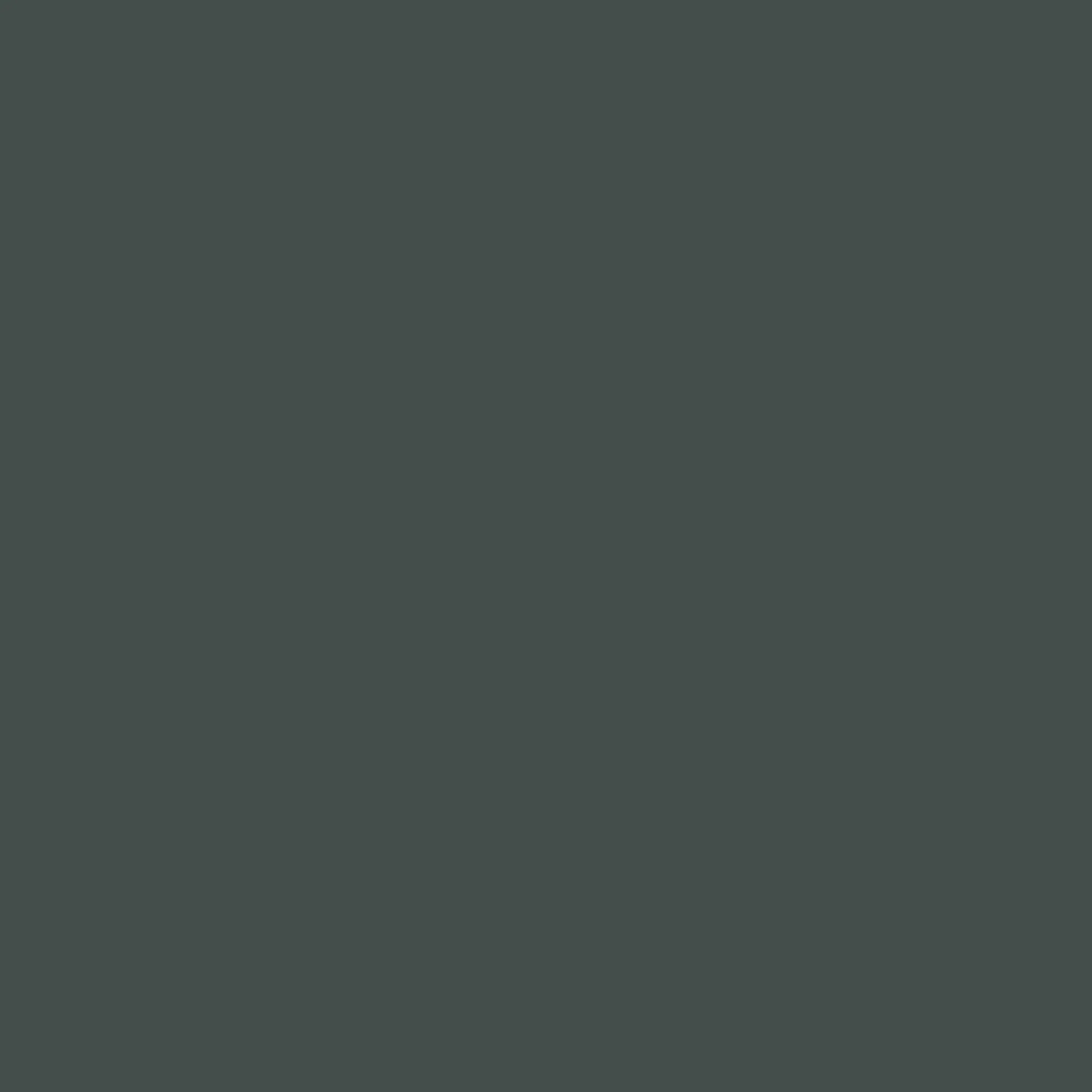 Wolf Grey - Royal Interior Paint - Image 2